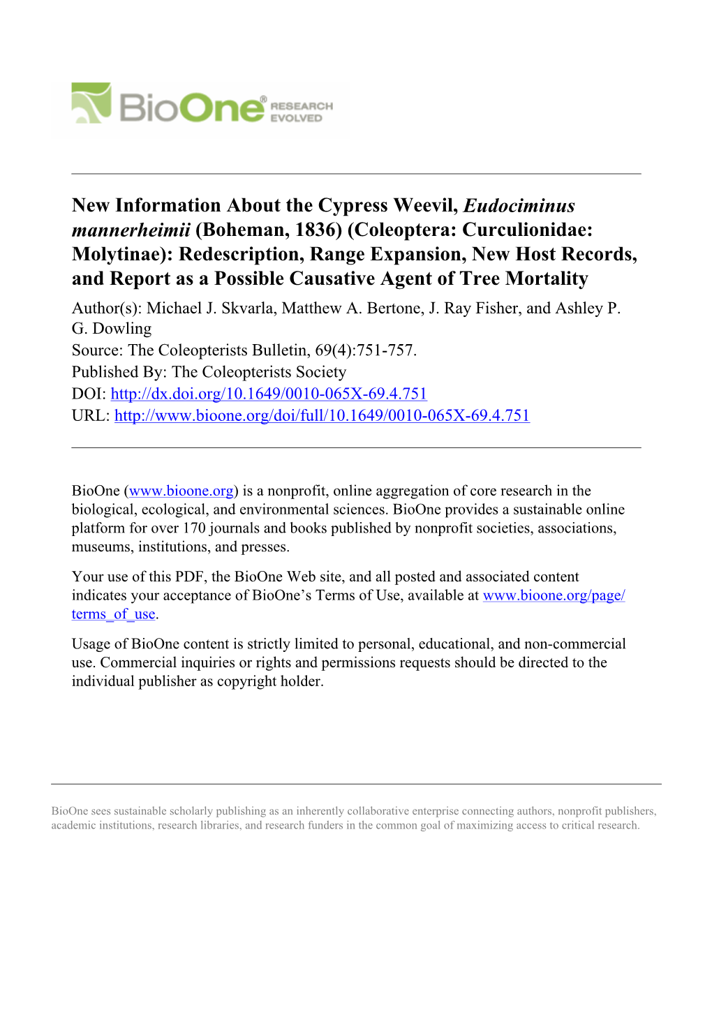 New Information About the Cypress Weevil