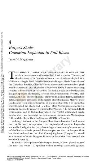 Burgess Shale: Cambrian Explosion in Full Bloom