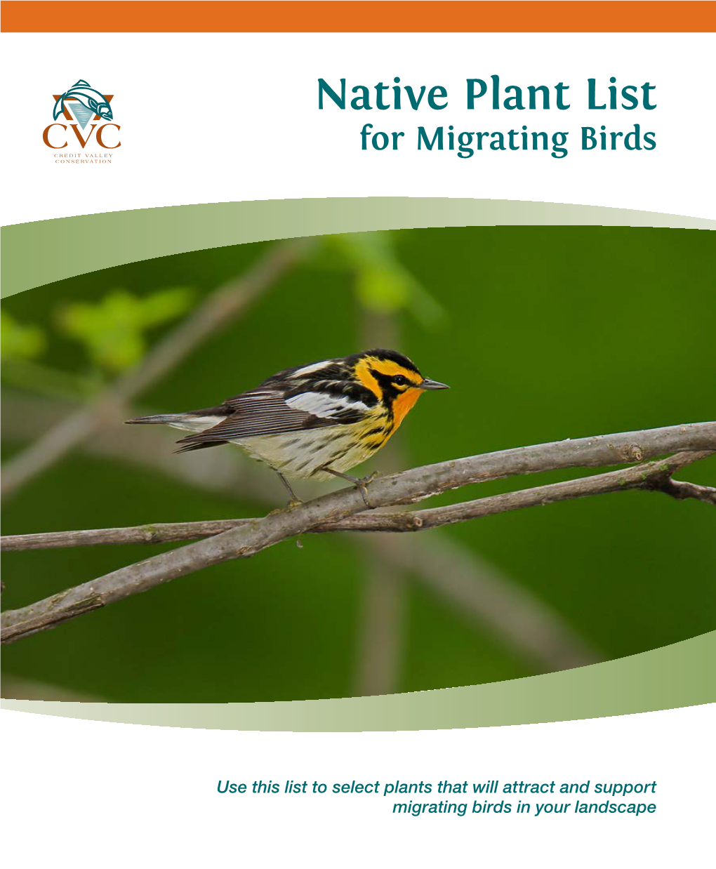 Native Plant List for Migrating Birds