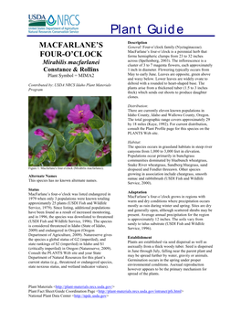 Macfarlane's Four-O'clock (Mirabilis Macfarlanei) Plant Guide