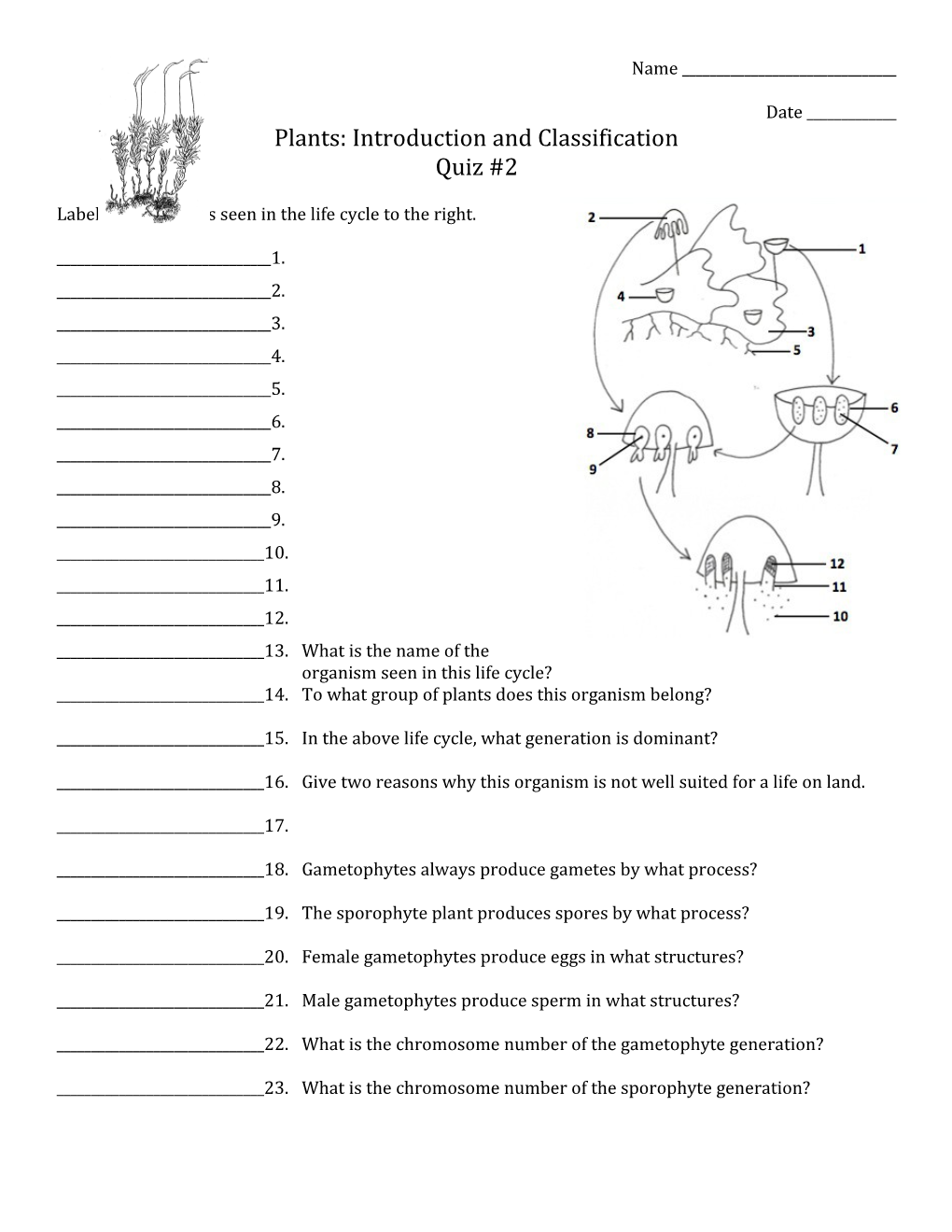 Label the Structures Seen in the Life Cycle to the Right