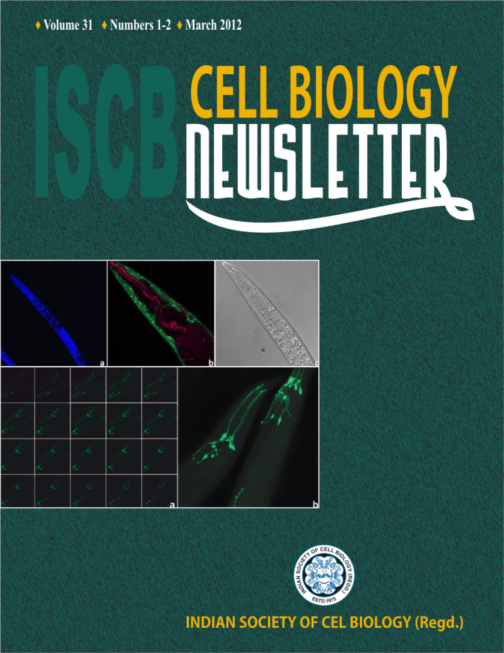 Model System Caenorhabditis Elegans in Drug Research: an Overview 1