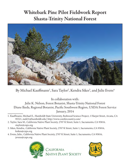 Whitebark Pine Pilot Fieldwork Report Shasta-Trinity National Forest