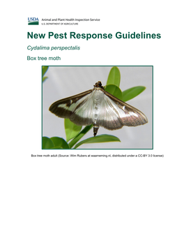 New Pest Response Guidelines Cydalima Perspectalis Box Tree Moth