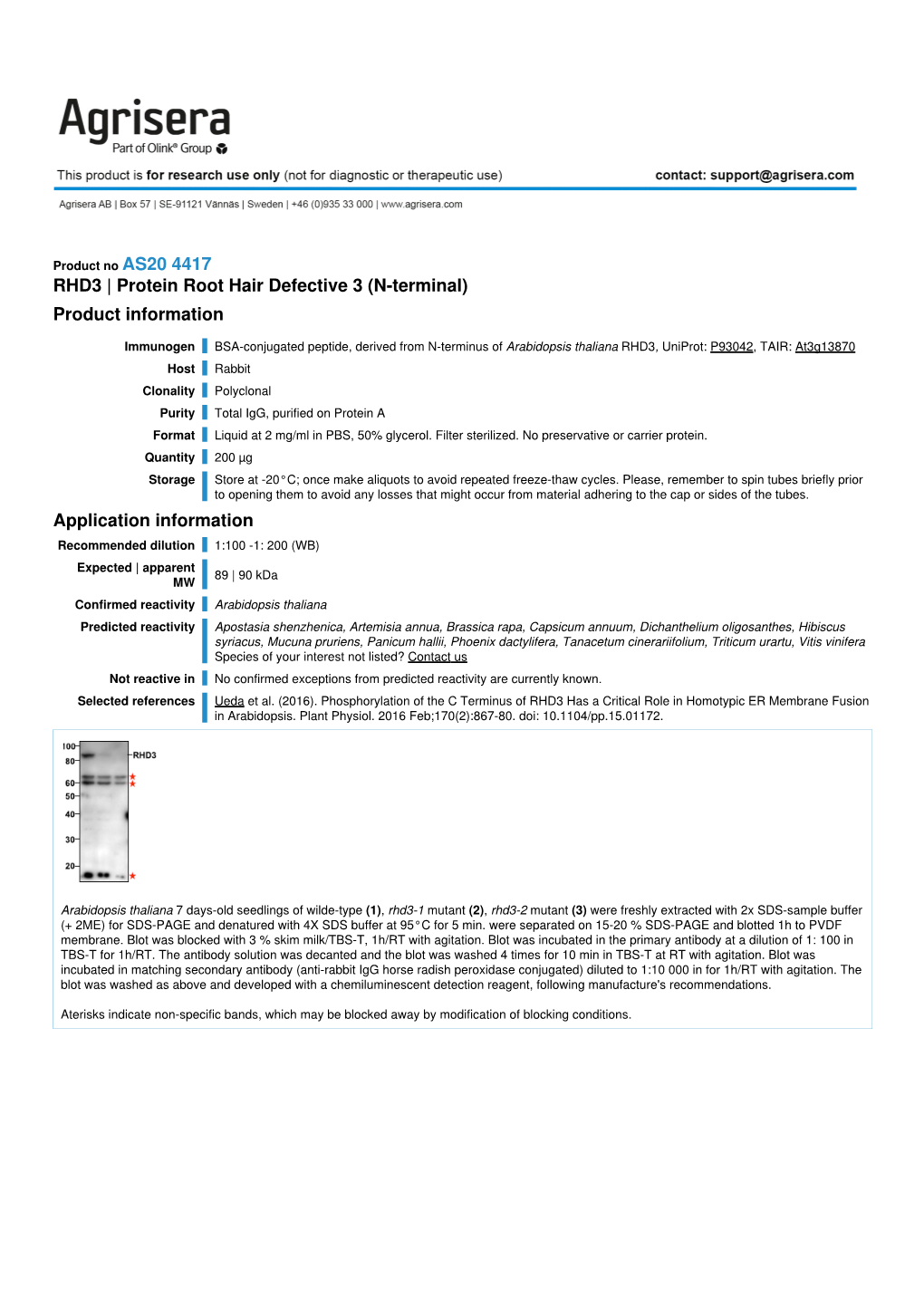 RHD3 | Protein Root Hair Defective 3 (N-Terminal) Product Information