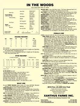 IN the WOODS Gray Or Roan Horse, 2004; 16.1 Hands WILDCAT HEIR: 6 Wins, $424,460, Frank J