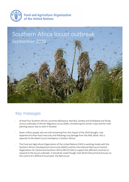Southern Africa Locust Outbreak