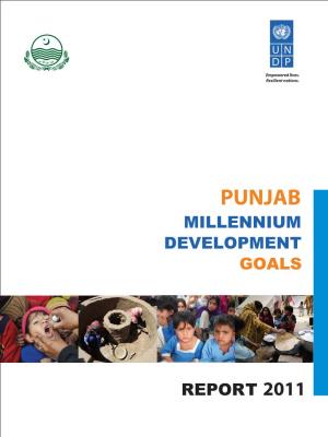 Punjab Report.Pdf