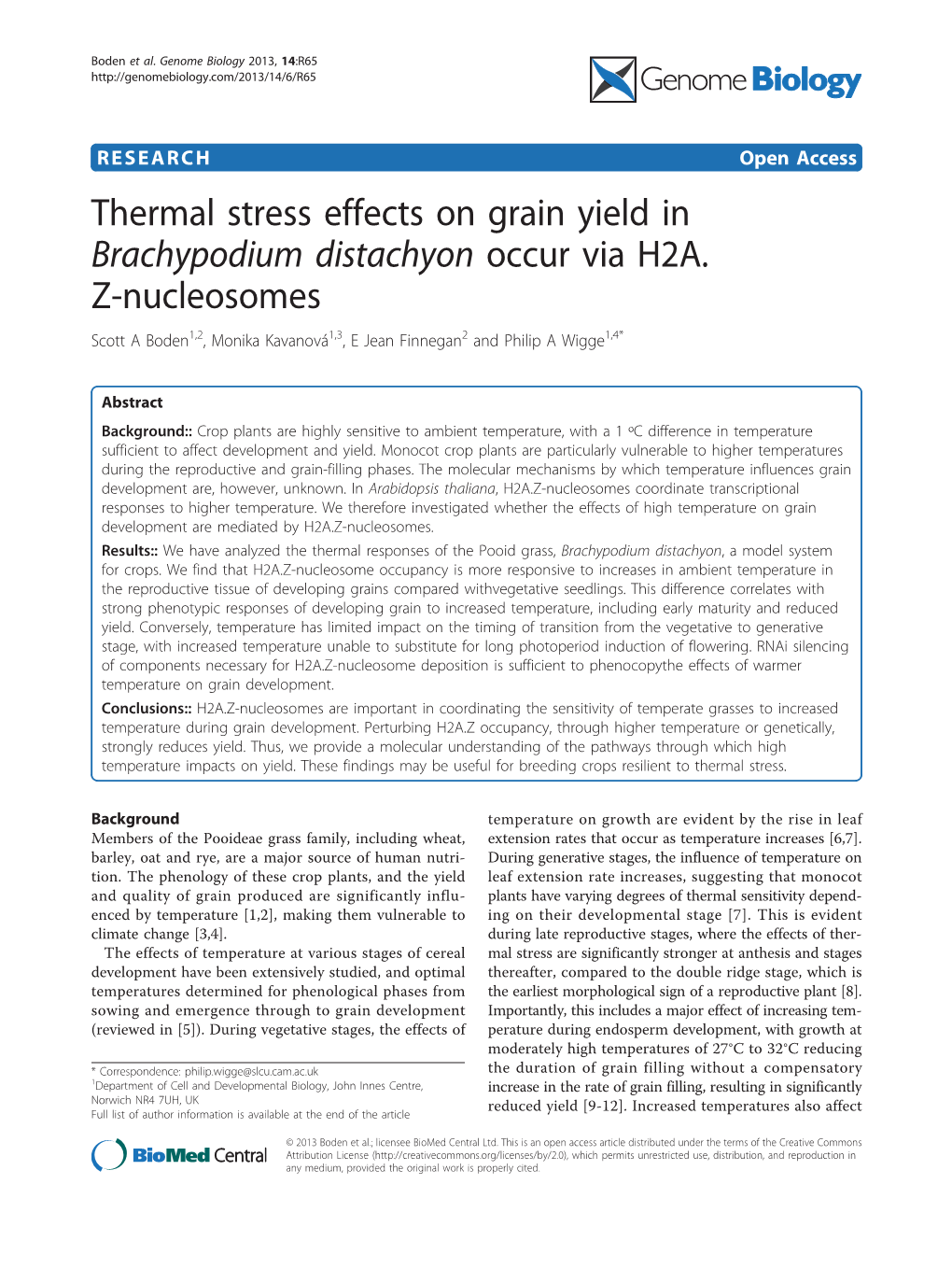 Thermal Stress Effects on Grain Yield in Brachypodium Distachyon Occur Via H2A