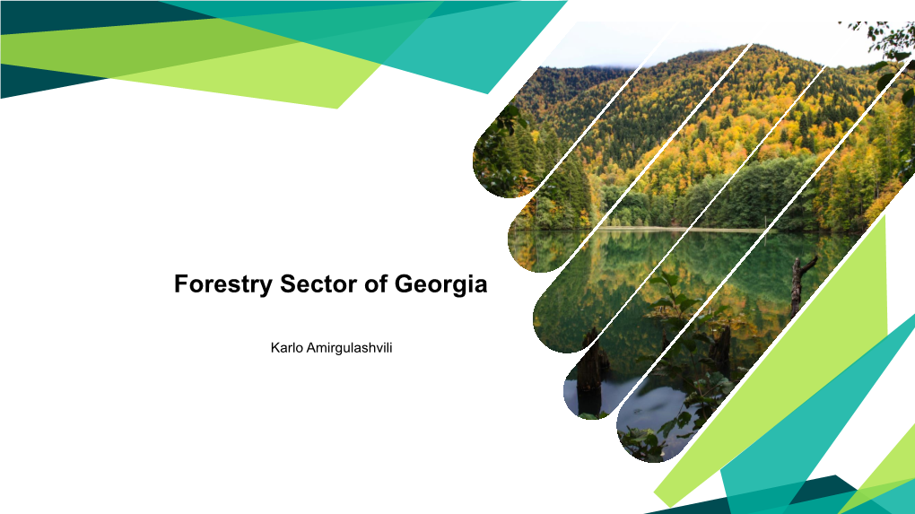 Forestry Sector of Georgia