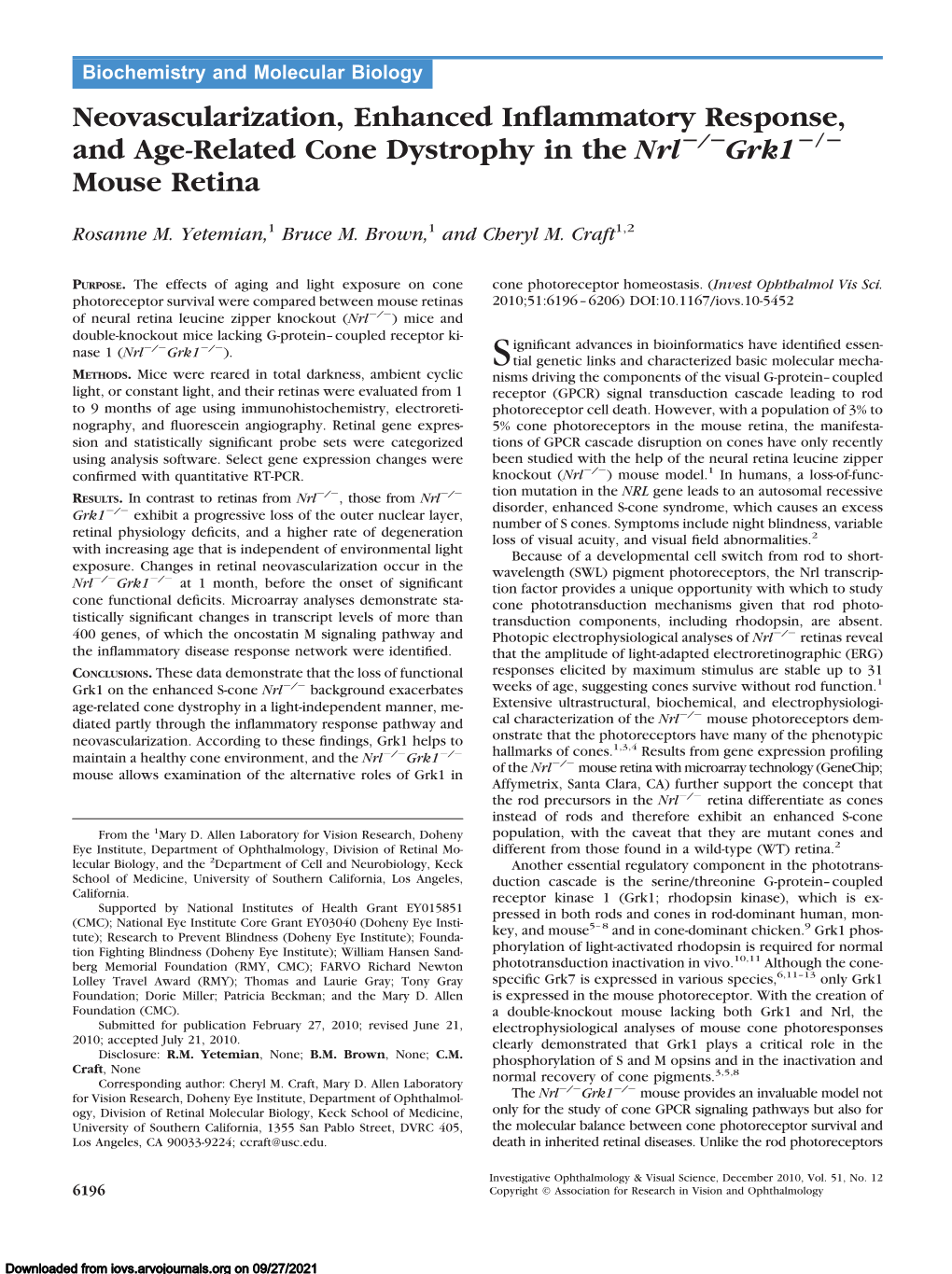 Neovascularization, Enhanced Inflammatory Response, and Age