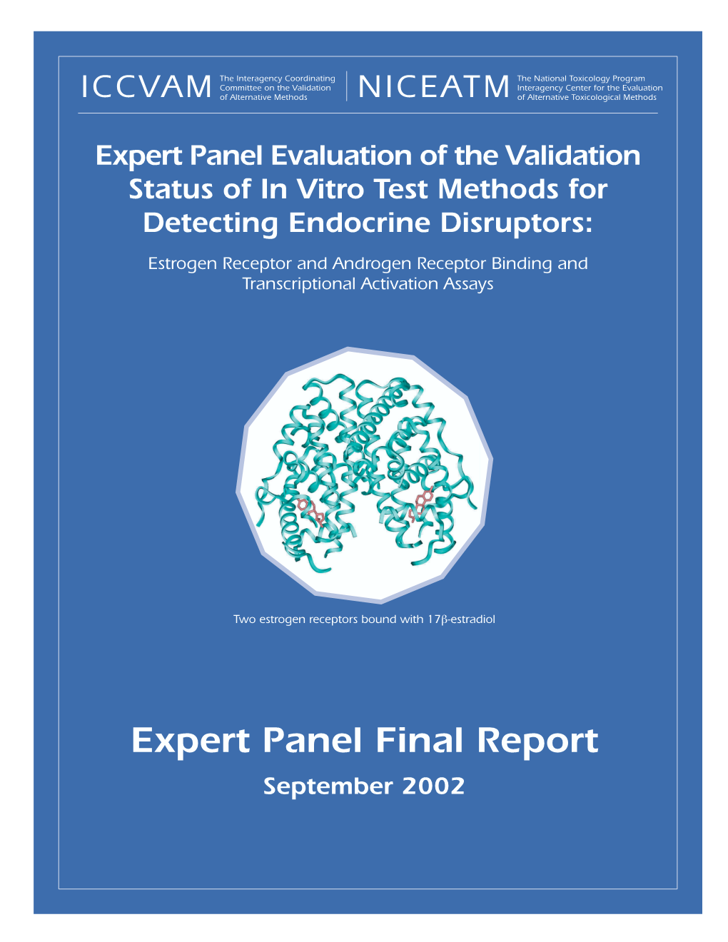 Expert Panel Evaluation of the Validation Status of in Vitro Test