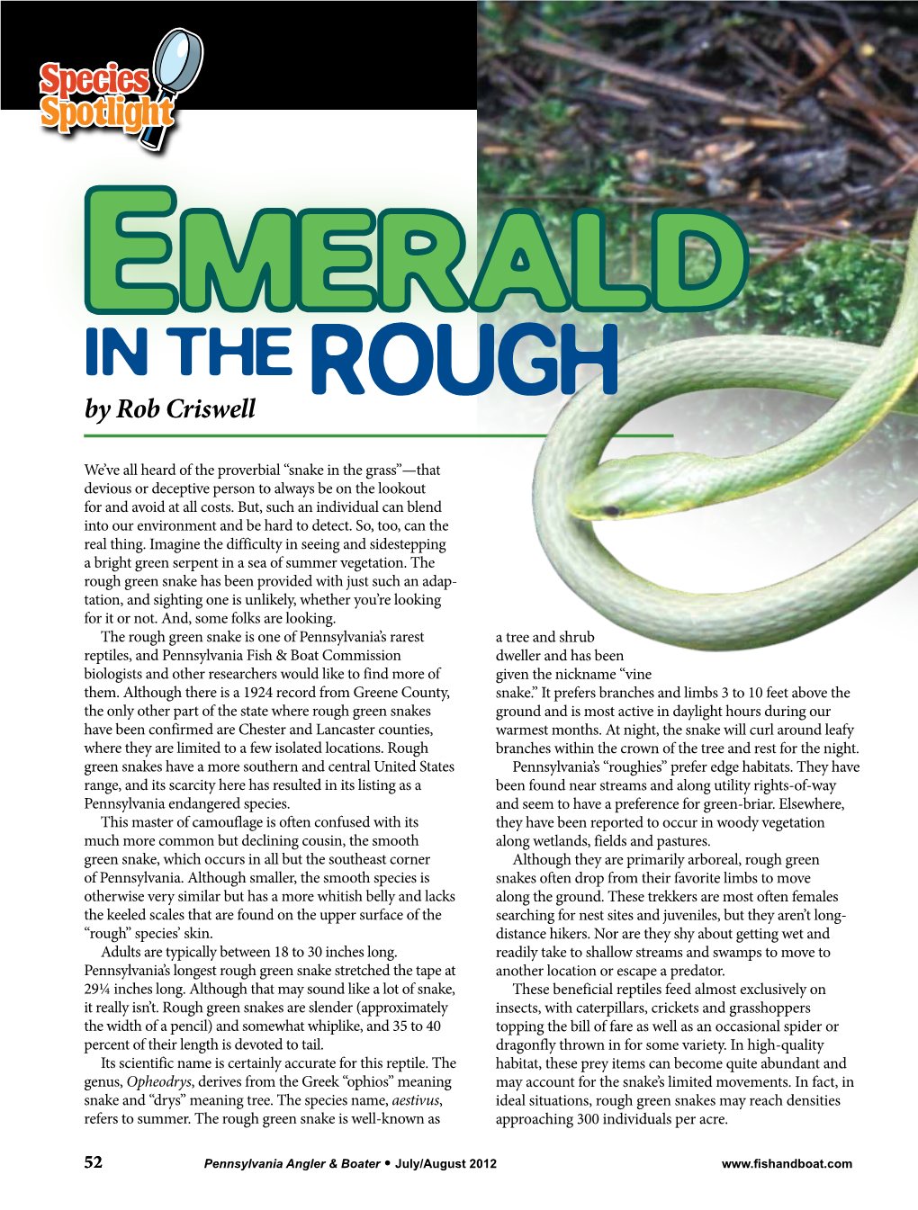 Emerald in the Rough by Rob Criswell