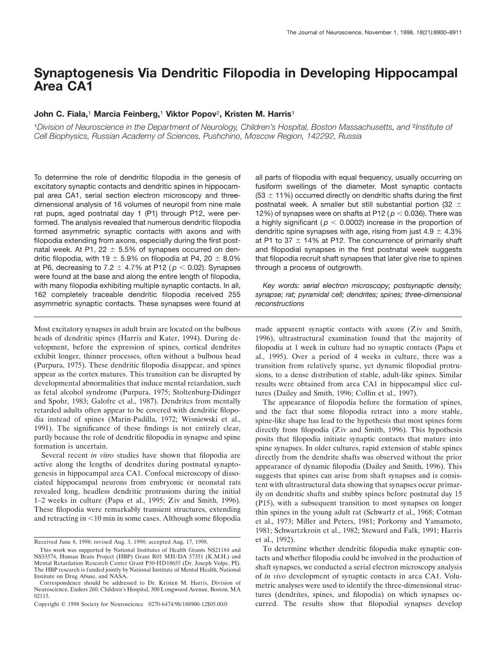 Synaptogenesis Via Dendritic Filopodia in Developing Hippocampal Area CA1