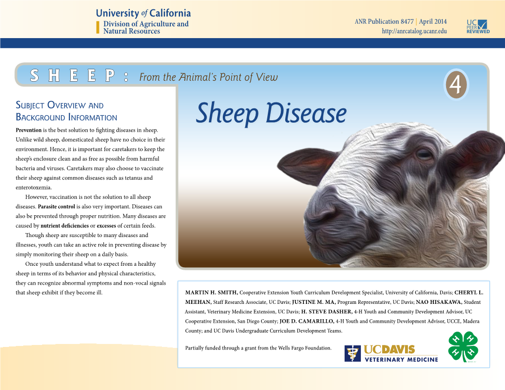 Sheep Diease