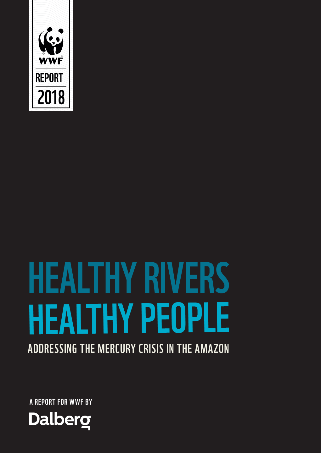 Addressing the Mercury Crisis in the Amazon Report