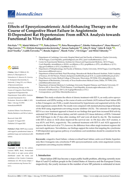 Effects of Epoxyeicosatrienoic Acid-Enhancing Therapy on the Course of Congestive Heart Failure in Angiotensin II-Dependent
