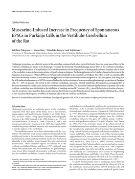 Muscarine-Induced Increase in Frequency of Spontaneous Epscs in Purkinje Cells in the Vestibulo-Cerebellum of the Rat