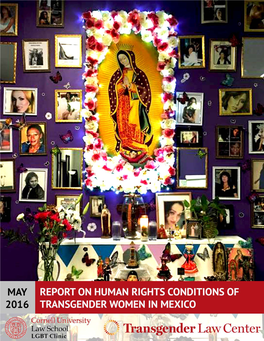 Report on Human Rights Conditions of Transgender Women in Mexico | 1 TABLE of CONTENTS