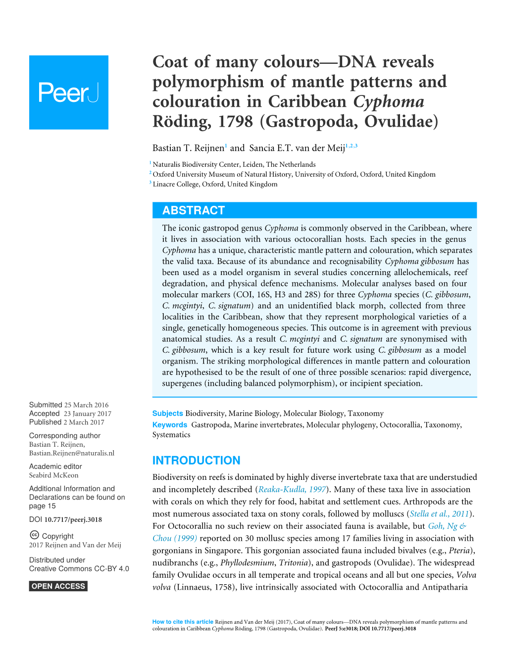 Coat of Many Colours—DNA Reveals Polymorphism of Mantle Patterns and Colouration in Caribbean Cyphoma Röding, 1798 (Gastropoda, Ovulidae)