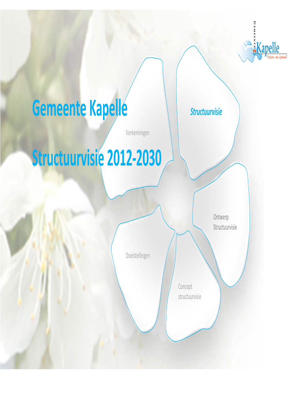 Structuurvisie Gemeente Kapelle 2012