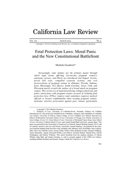 Fetal Protection Laws: Moral Panic and the New Constitutional Battlefront