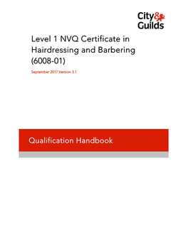 Level 1 NVQ Certificate in Hairdressing and Barbering (6008-01)