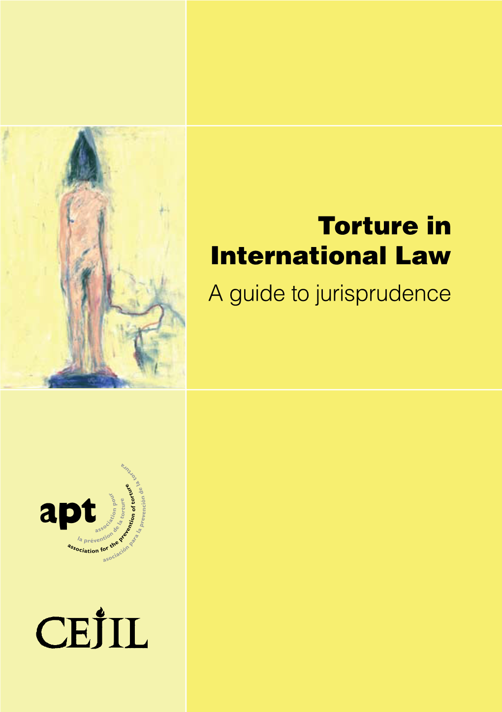 Torture in International