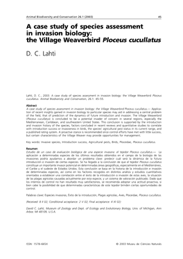The Village Weaverbird Ploceus Cucullatus DC Lahti