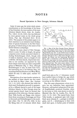 Faunal Speciation in New Georgia, Solomon Islands