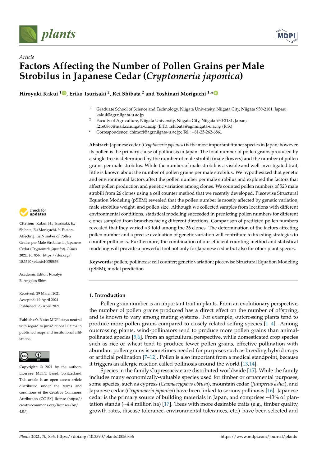 Factors Affecting the Number of Pollen Grains Per Male Strobilus in Japanese Cedar (Cryptomeria Japonica)