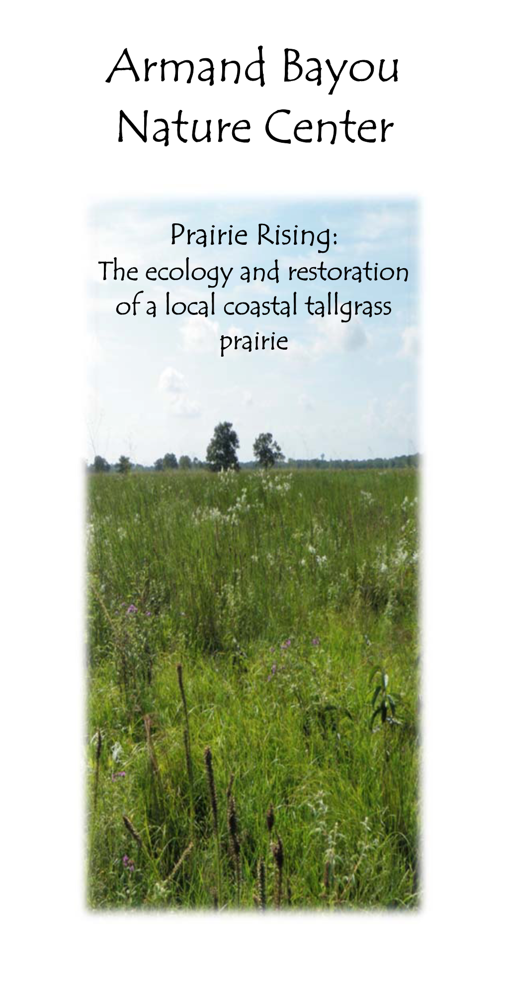 Prairie Rising: the Ecology and Restoration of a Local Coastal Tallgrass Prairie