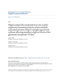 Hippocampal Slice Preparation in Rats Acutely Suppresses