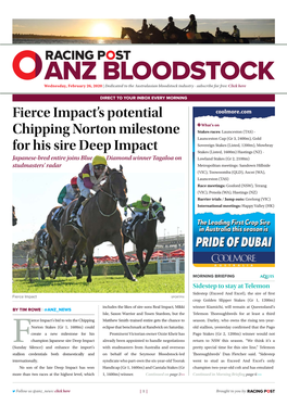 Fierce Impact's Potential Chipping Norton Milestone for His Sire Deep