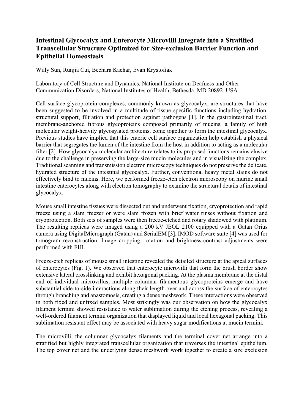 Intestinal Glycocalyx and Enterocyte Microvilli Integrate Into a Stratified