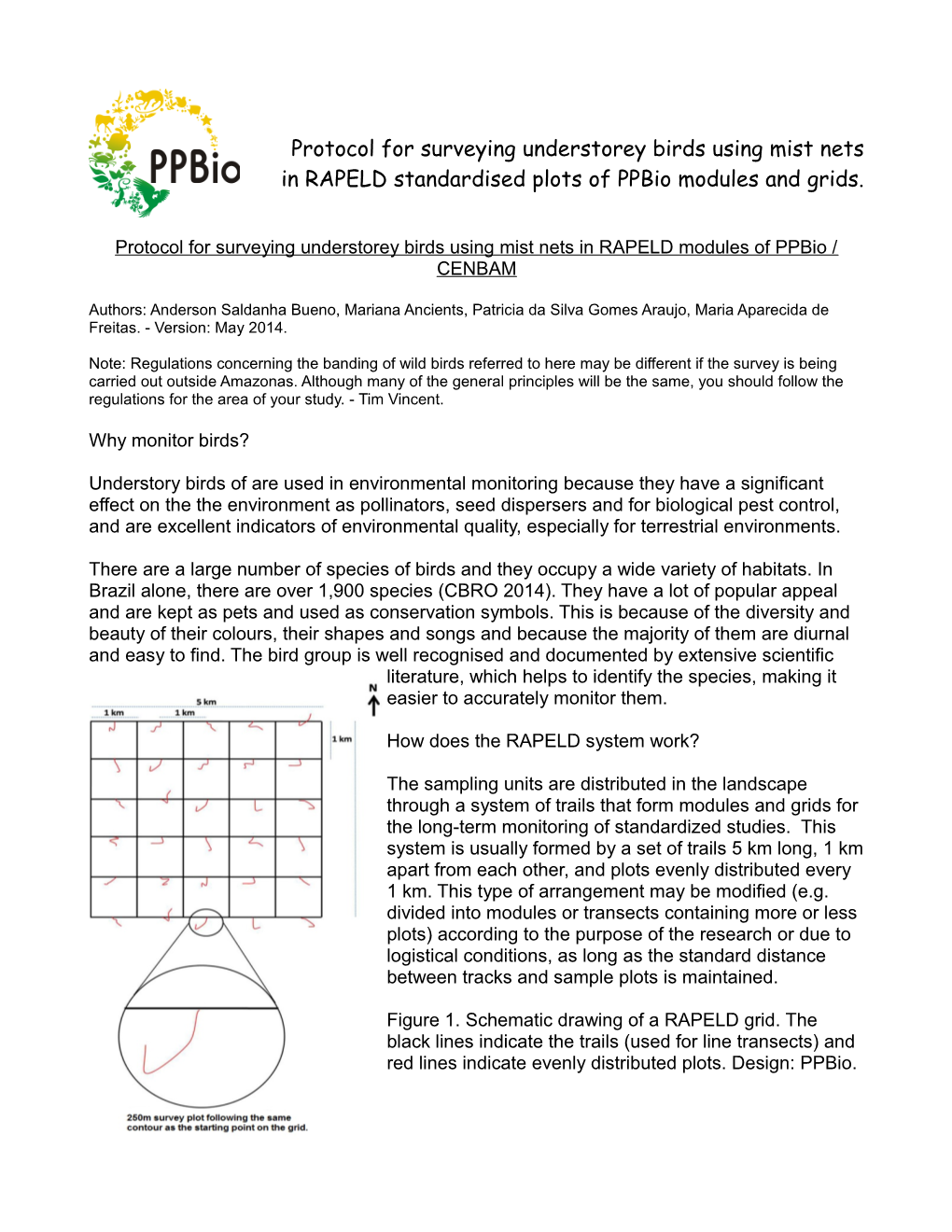 Protocol for Surveying Understorey Birds Using Mist Nets in RAPELD Standardised Plots of Ppbio Modules and Grids