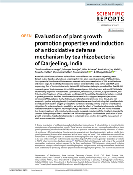 Evaluation of Plant Growth Promotion Properties and Induction Of