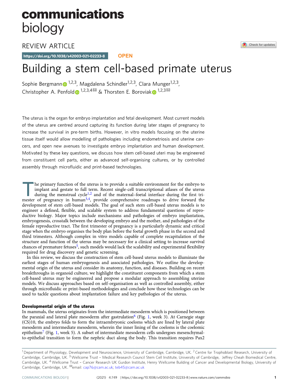 Building a Stem Cell-Based Primate Uterus