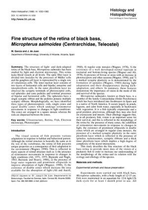 Fine Structure of the Retina of Black Bass, Micropterus Salmoides (Centrarchidae, Teleostei)