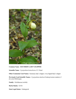 Common Name: SOUTHERN LADY's-SLIPPER Scientific Name