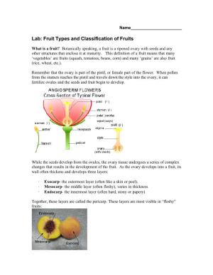 Fruit Classification