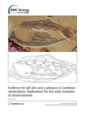 Evidence for Gill Slits and a Pharynx in Cambrian Vetulicolians: Implications for the Early Evolution of Deuterostomes Ou Et Al