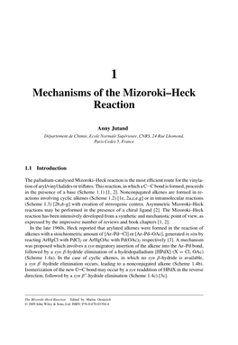 Mechanisms of the Mizoroki-Heck Reaction