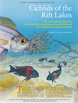 Cichlids of the Rift Lakes : the Extraordinary Diversity of Cichlid