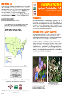 FACT SHEET Dayflower in the Mid-South