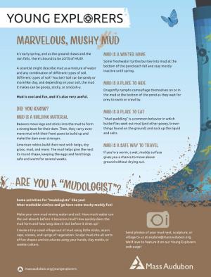Are You a “Mudologist”? MARVELOUS, MUSHY