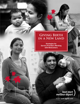 Giving Birth in a New Land: Strategies for Service Providers Working with Newcomers