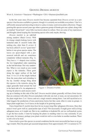 Carnivorous Plant Newsletter Vol 48 No 3 September 2019