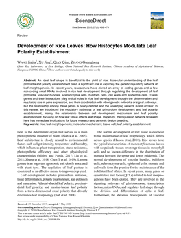 How Histocytes Modulate Leaf Polarity Establishment