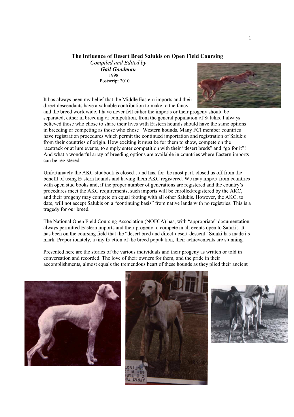 Influence of Desert Bred Salukis in USA Open Field Coursing 2